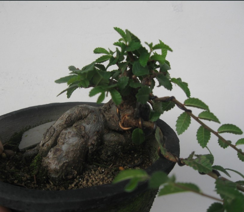 未命名222223.jpg