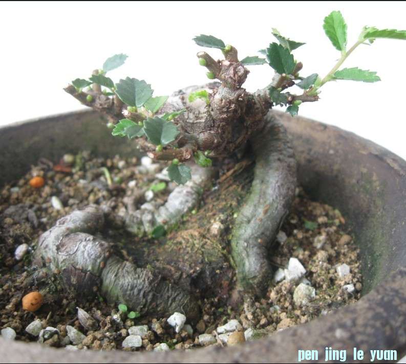 未命名123.jpg