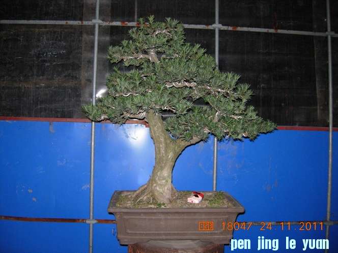 DSCN4665.JPG