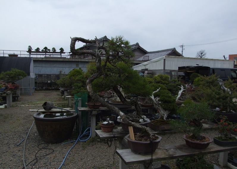 360ͼ20120704224935109.jpg