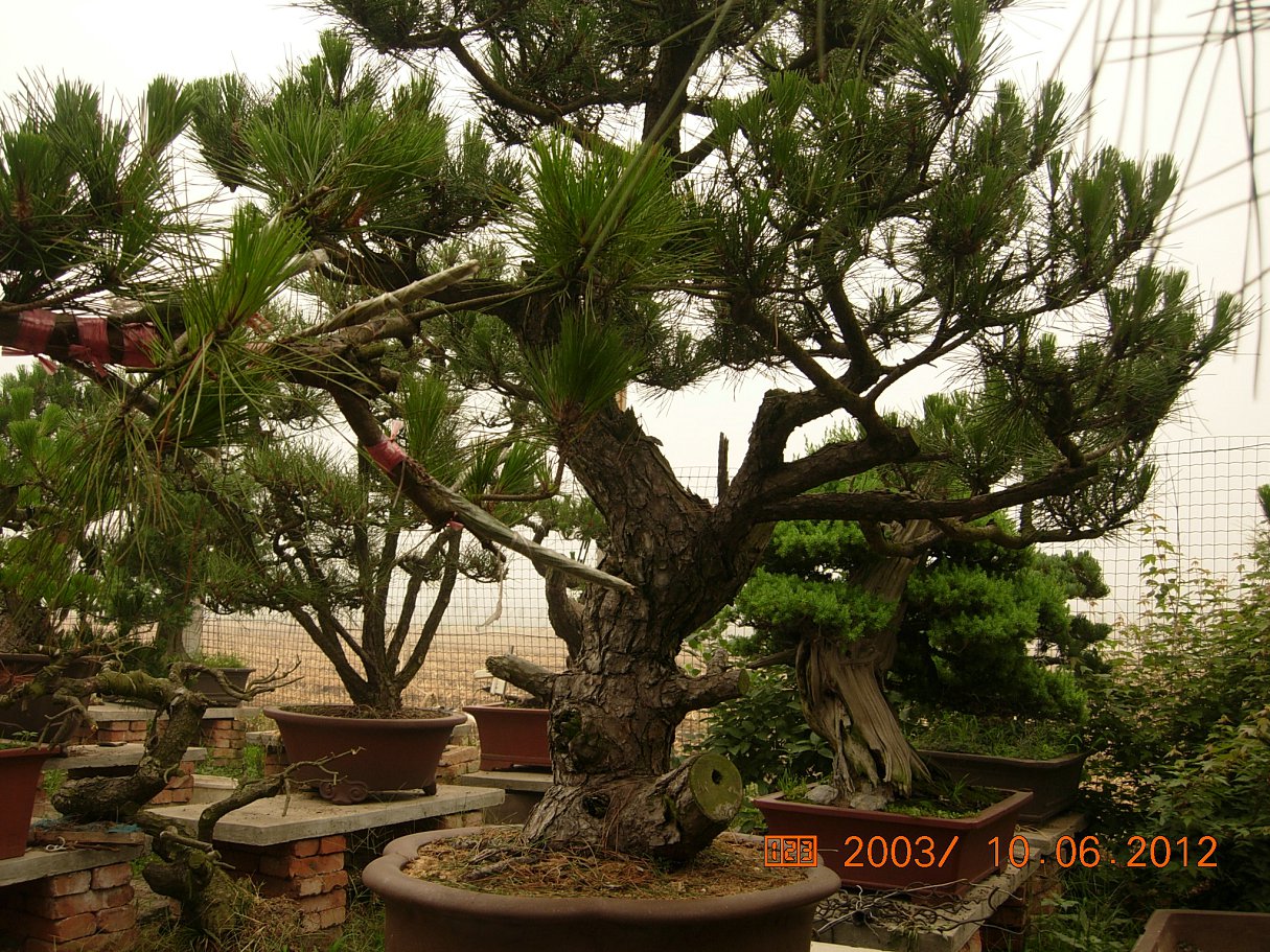 DSCN6210.JPG
