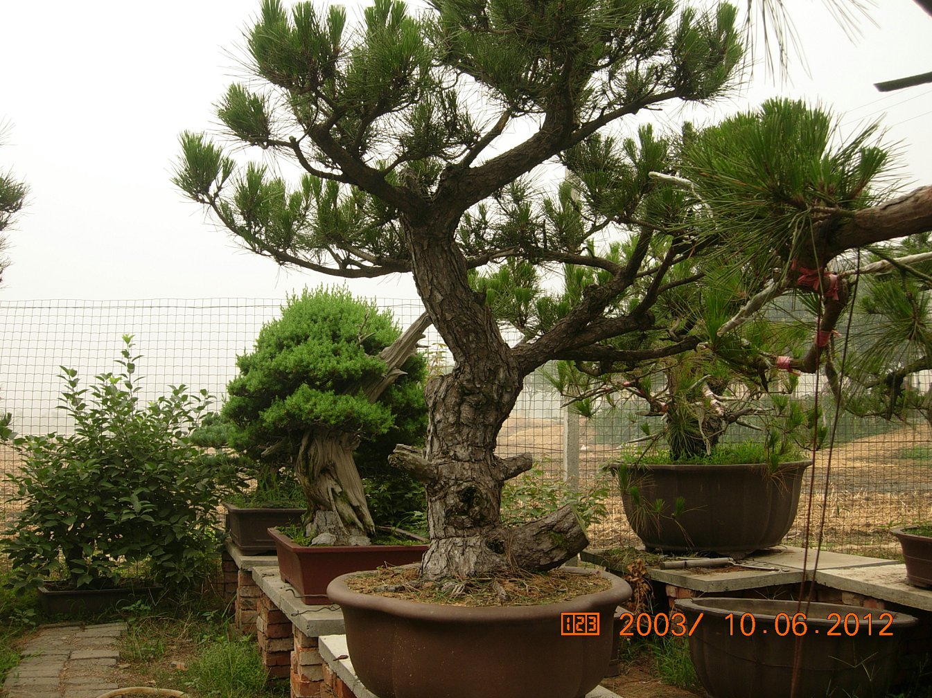 DSCN6211.JPG