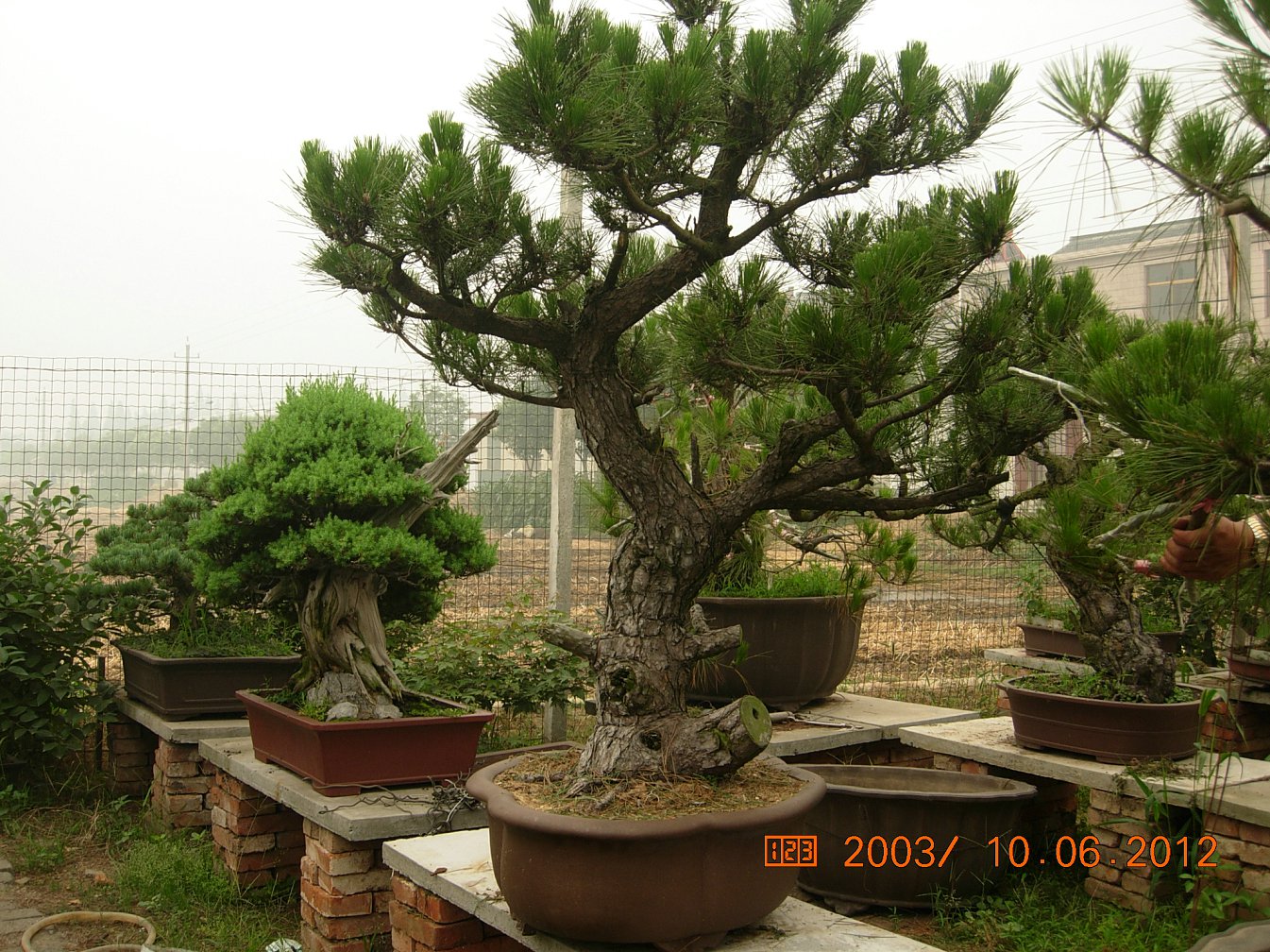 DSCN6212.JPG