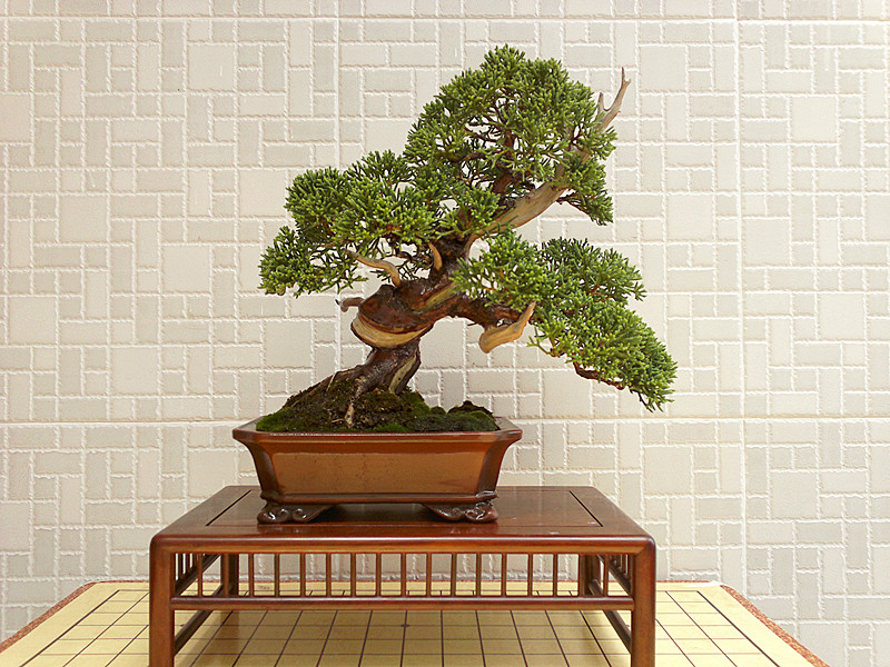 201207091561_副本.jpg