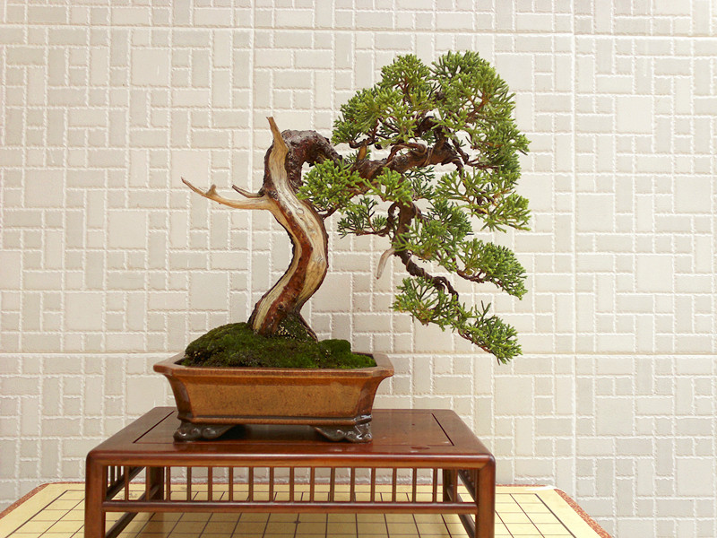 201207091562_副本.jpg