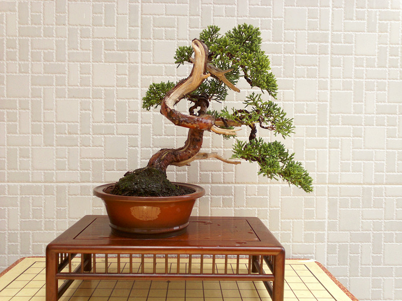 201207091563_副本.jpg