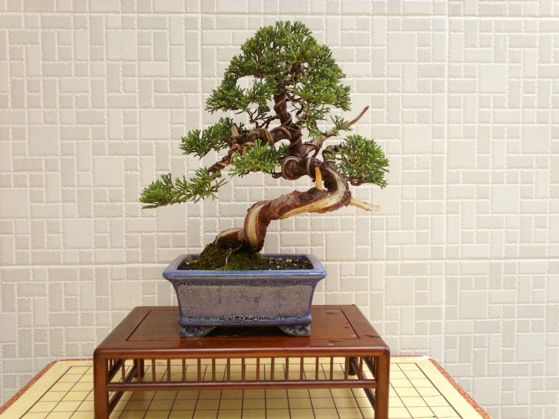 201207091566_副本.jpg