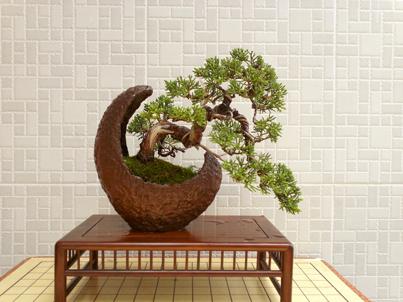 201207091567_副本.jpg