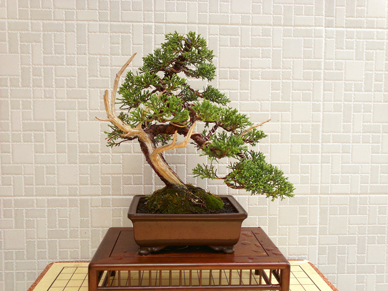 201207091568_.jpg