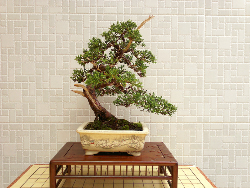 201207091569_.jpg