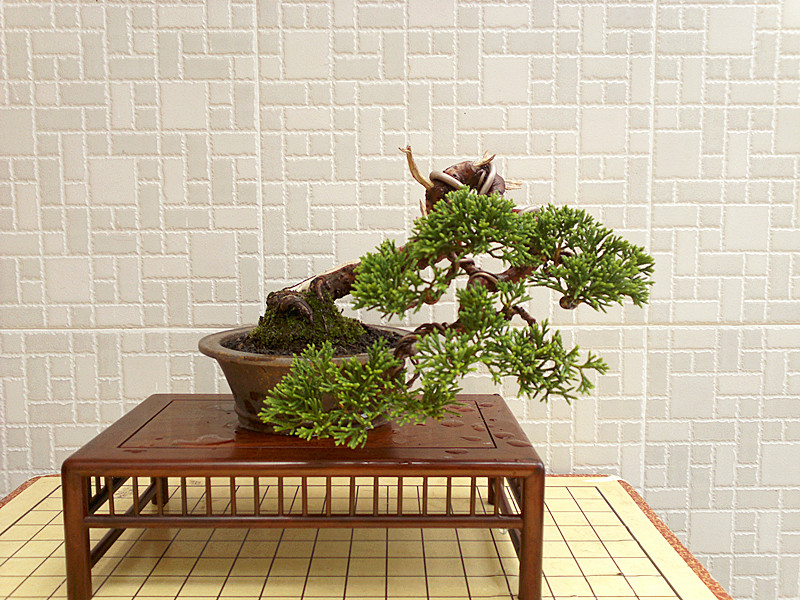 201207091571_.jpg