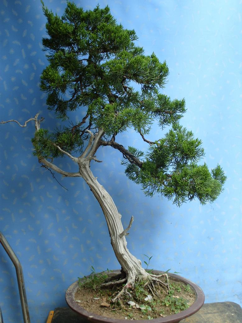 S1051150.JPG