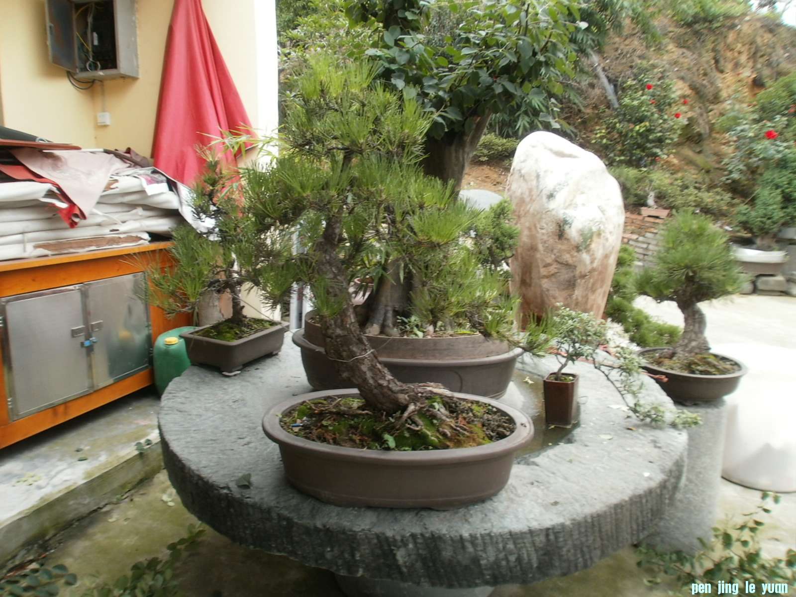 P1010073.JPG