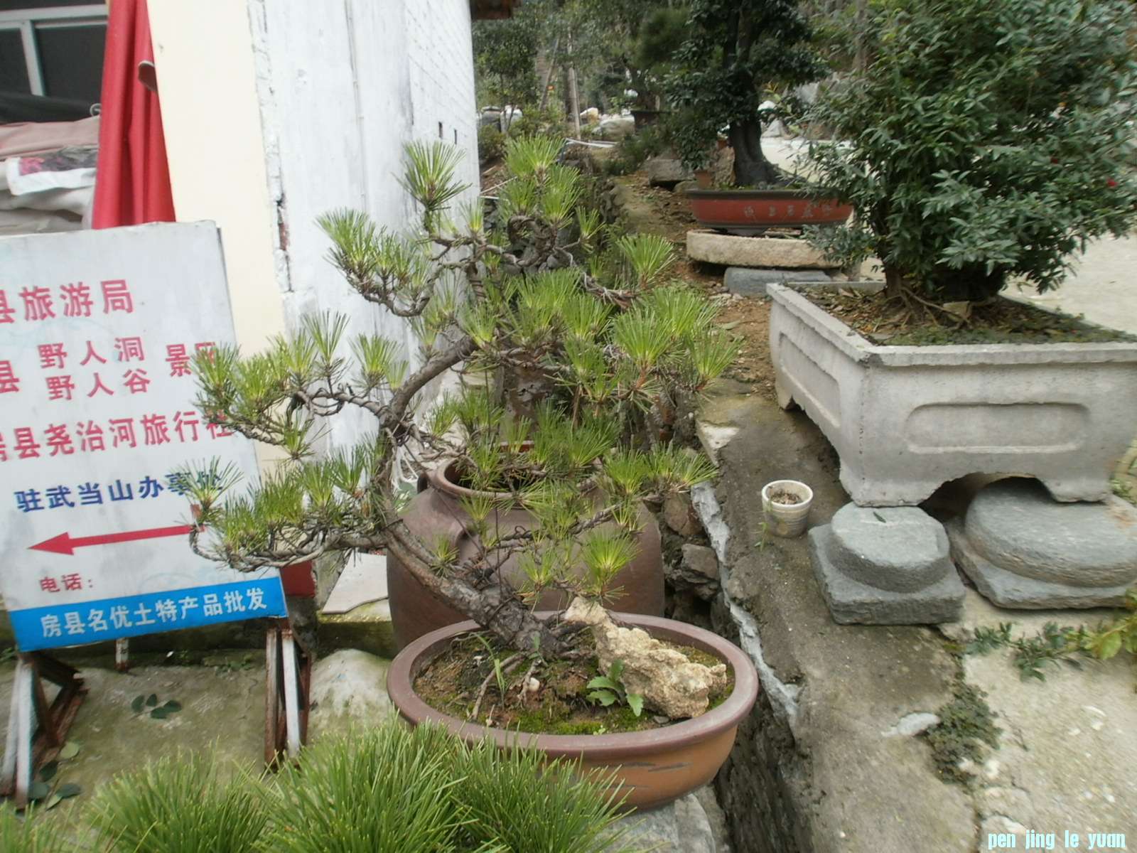 P1010076.JPG