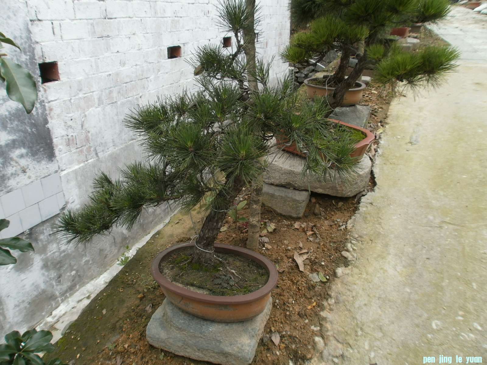 P1010077.JPG