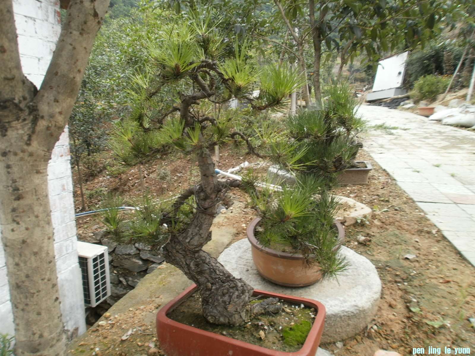 P1010081.JPG