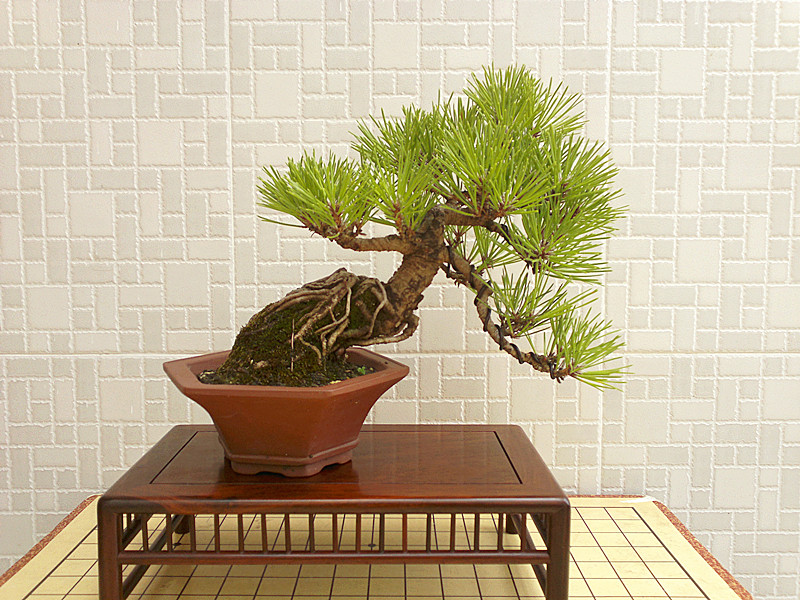 201207101579_.jpg