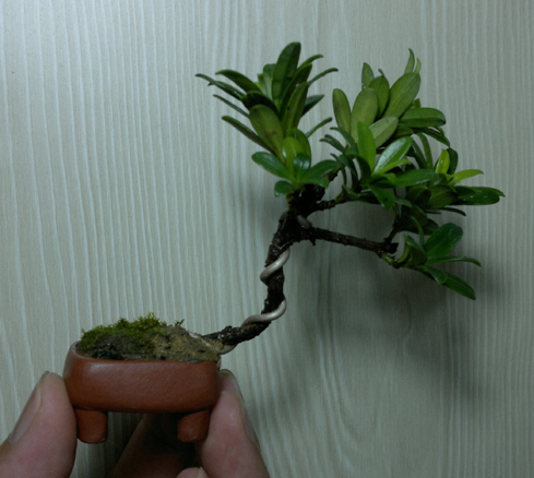 201207101294.jpg