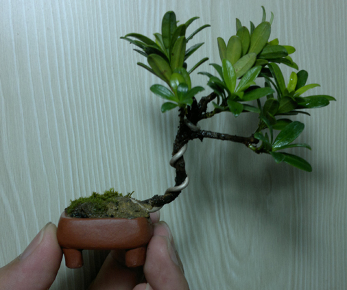 201207101295.jpg