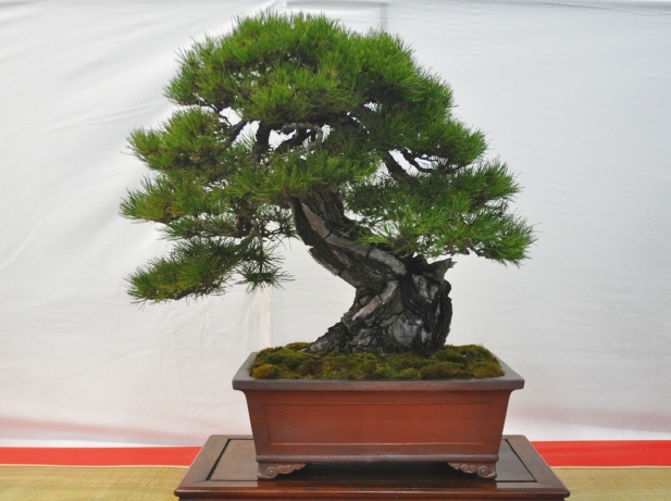 120d5.jpg