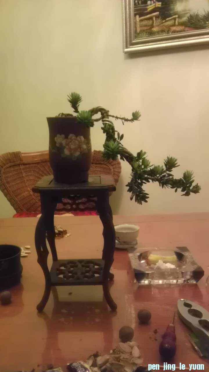 IMAG0600.jpg