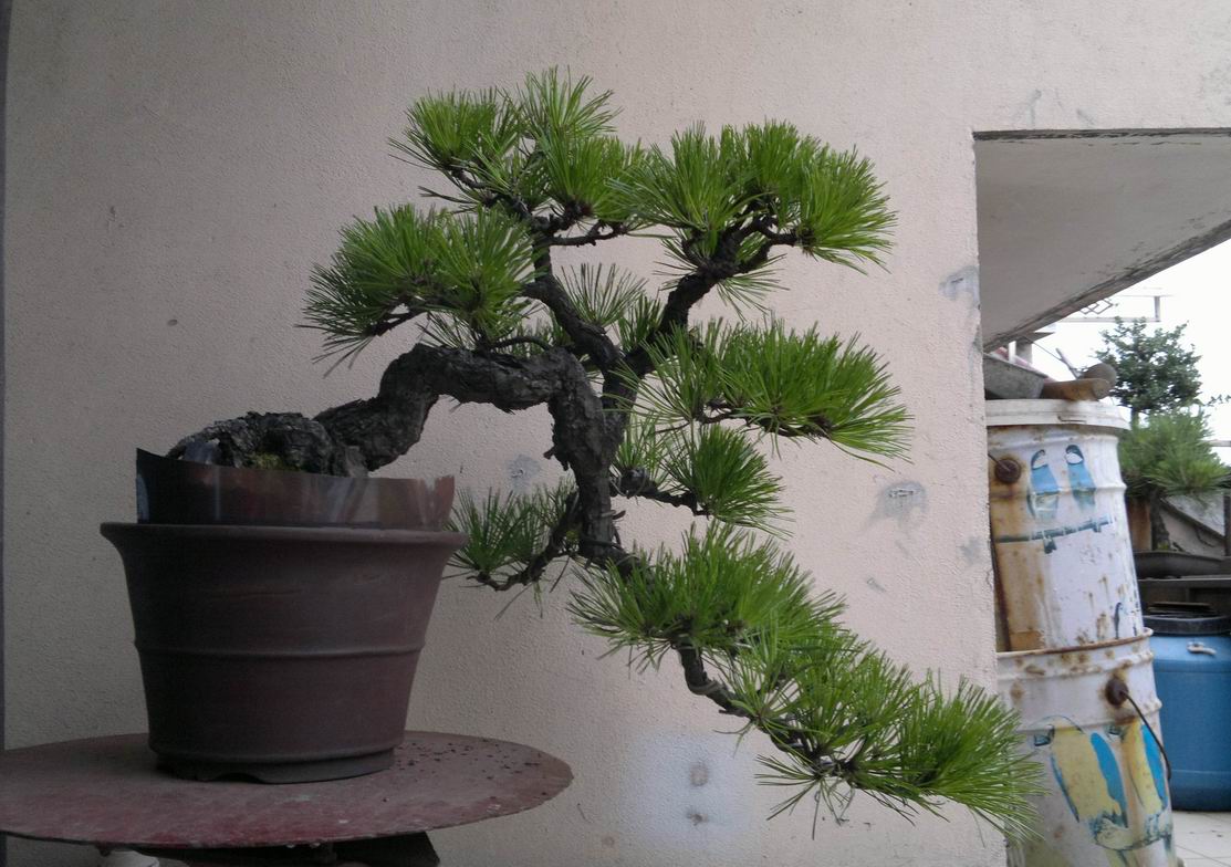 20120712293.jpg