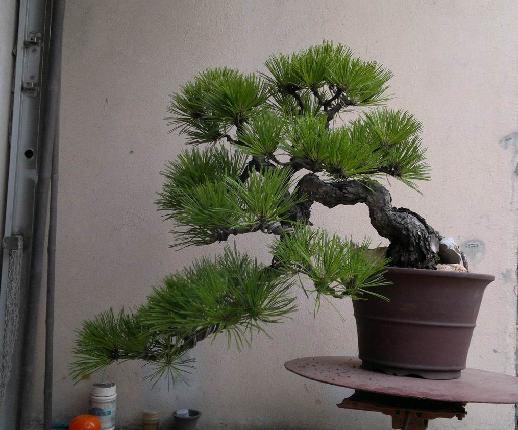 20120712294.jpg