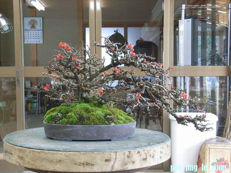 o0800060011848513967.jpg