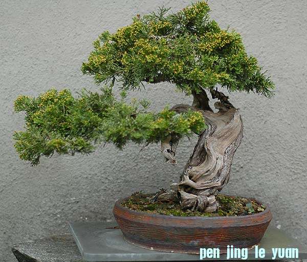 Dsc_5917v.jpg