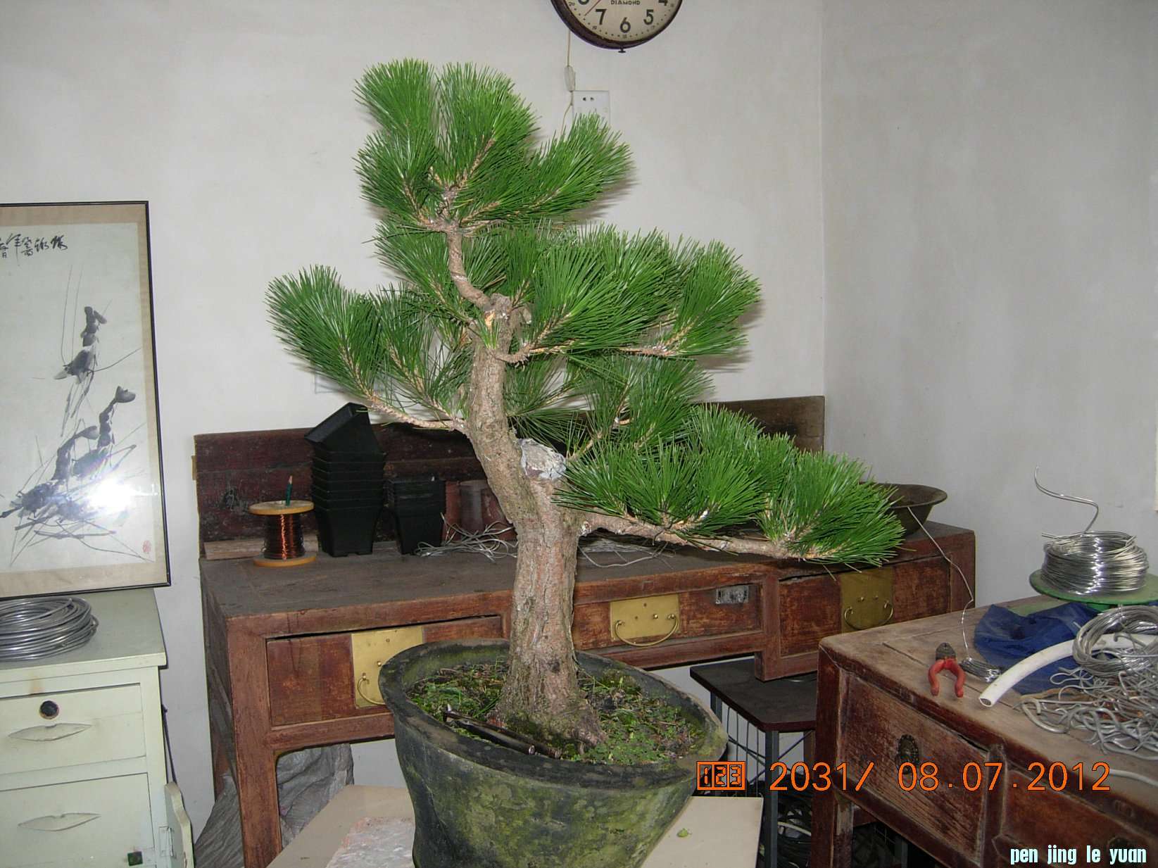 DSCN6266.JPG