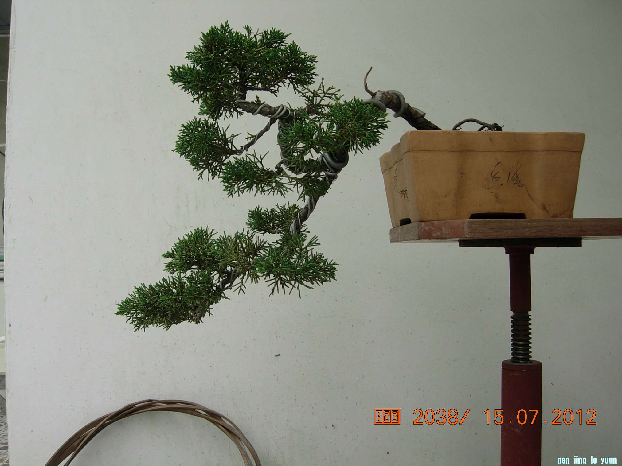 DSCN6277.JPG