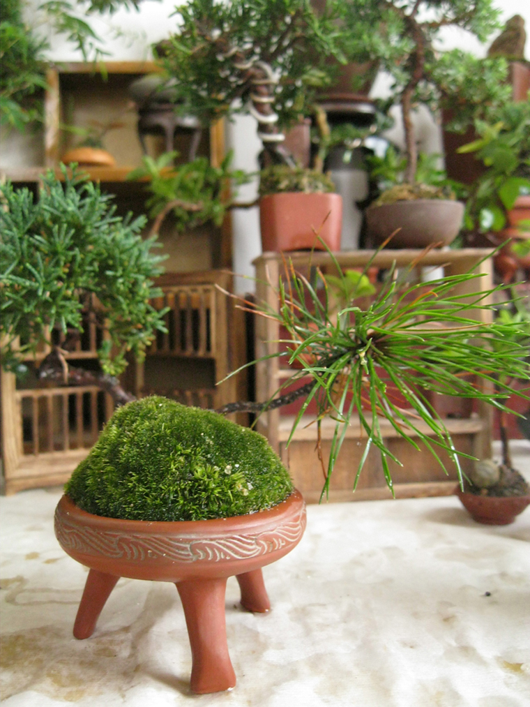 2012712 007.jpg