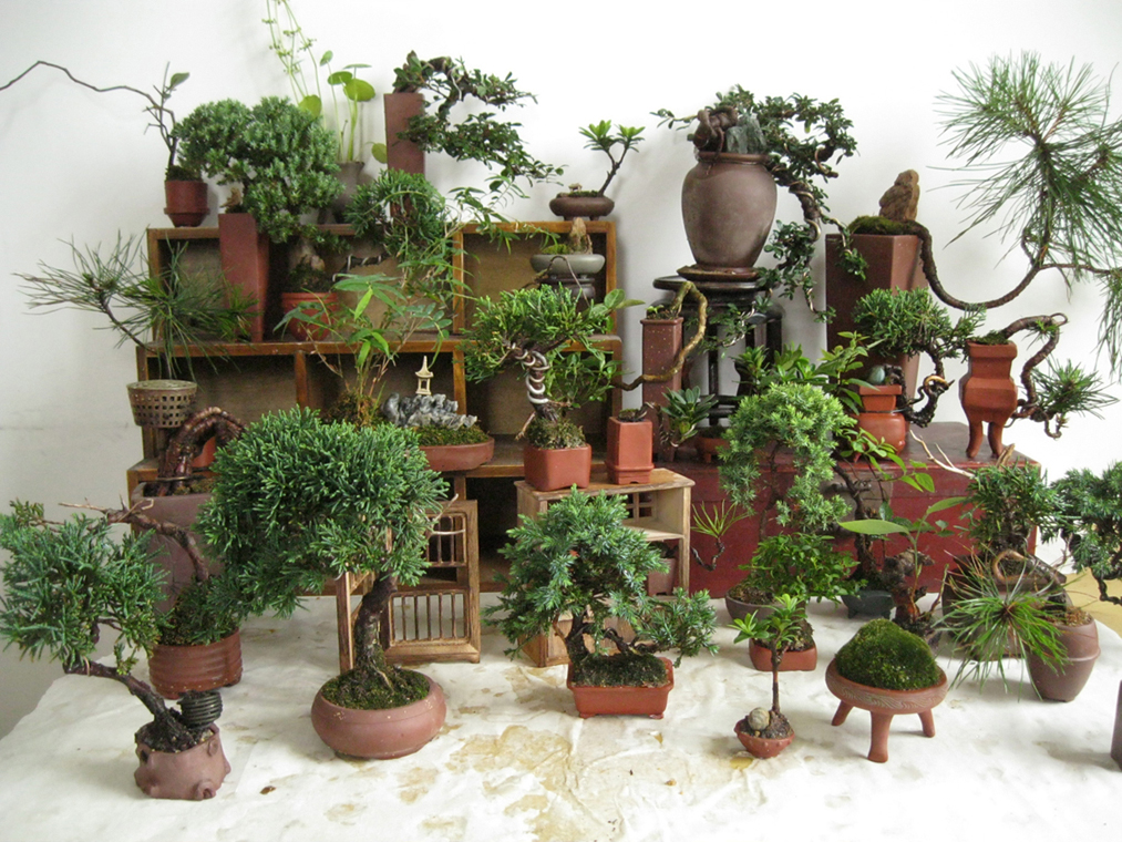 2012712 023.jpg