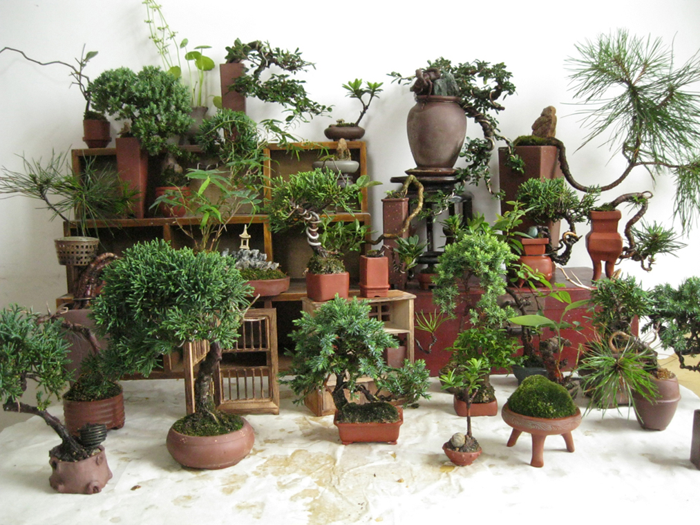2012712 024.jpg