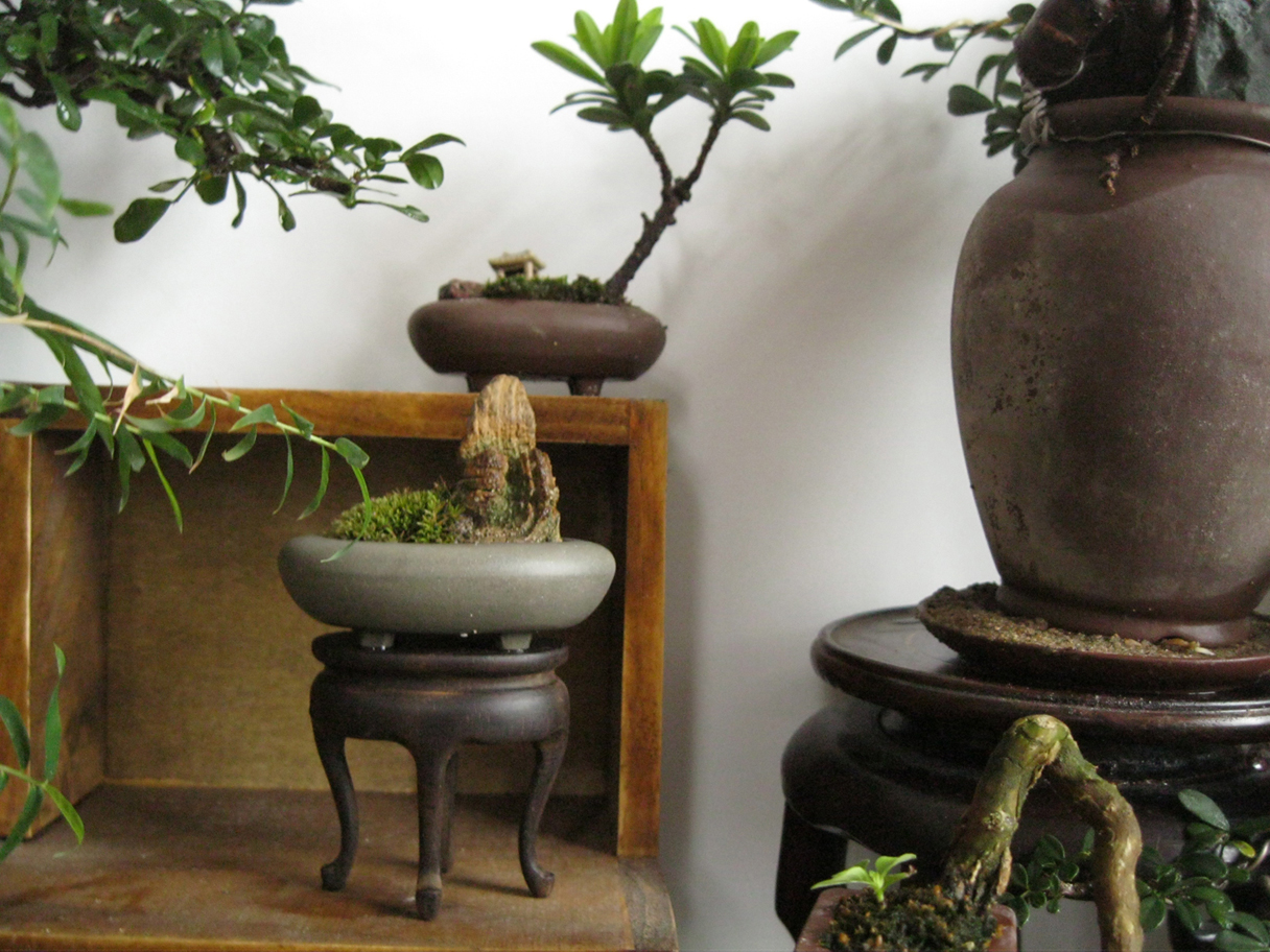 2012712 025.jpg