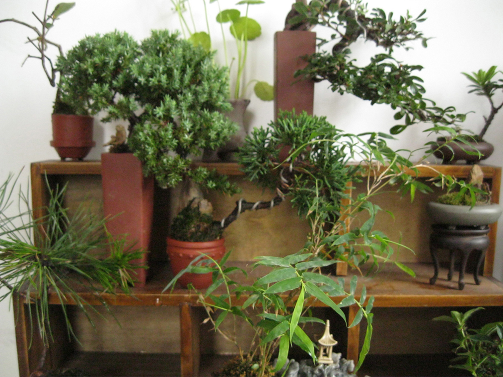 2012712 026.jpg