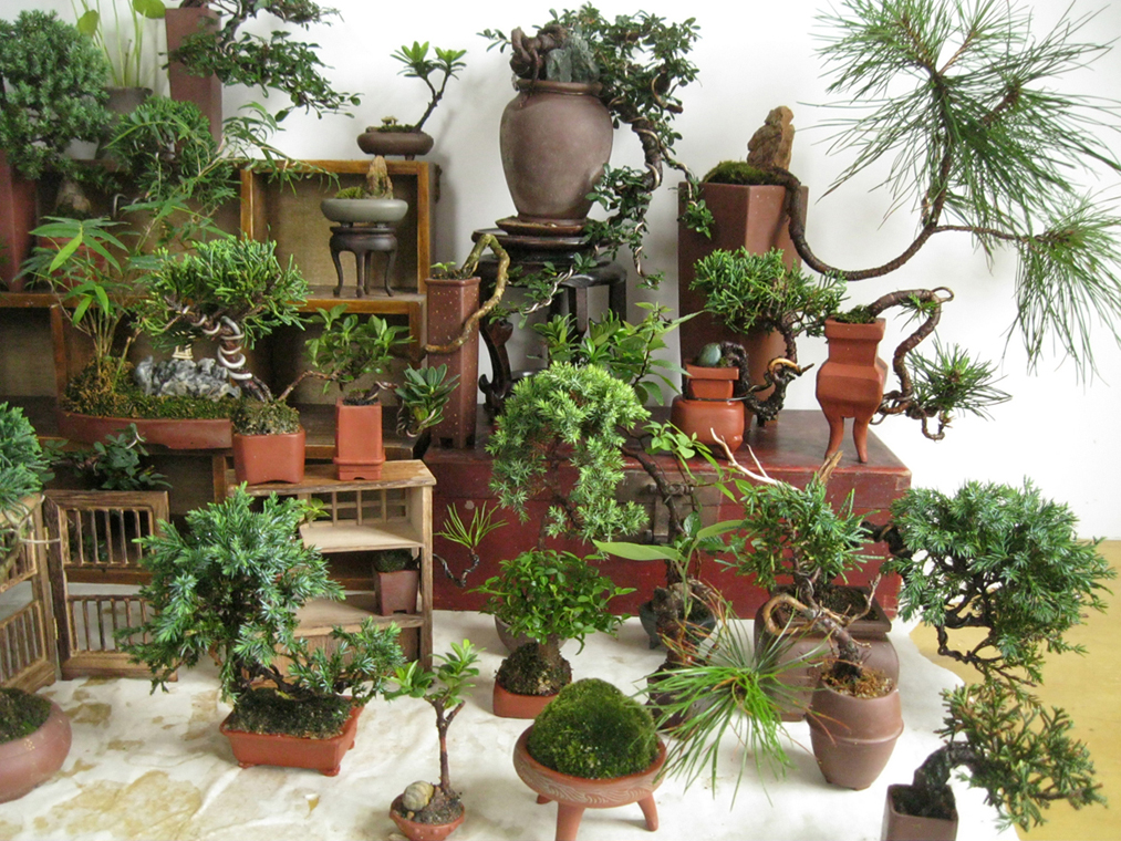 2012712 027.jpg