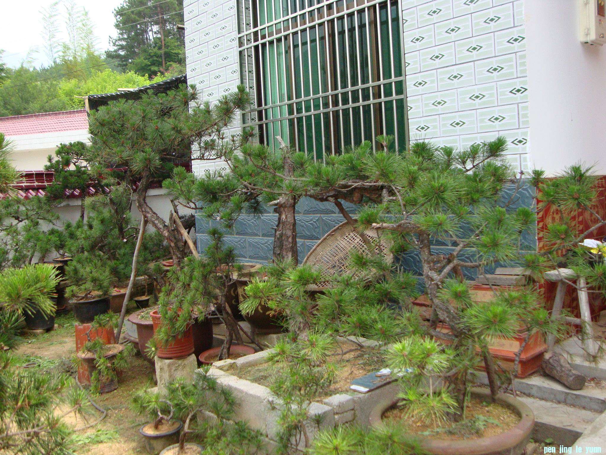 DS00860.jpg