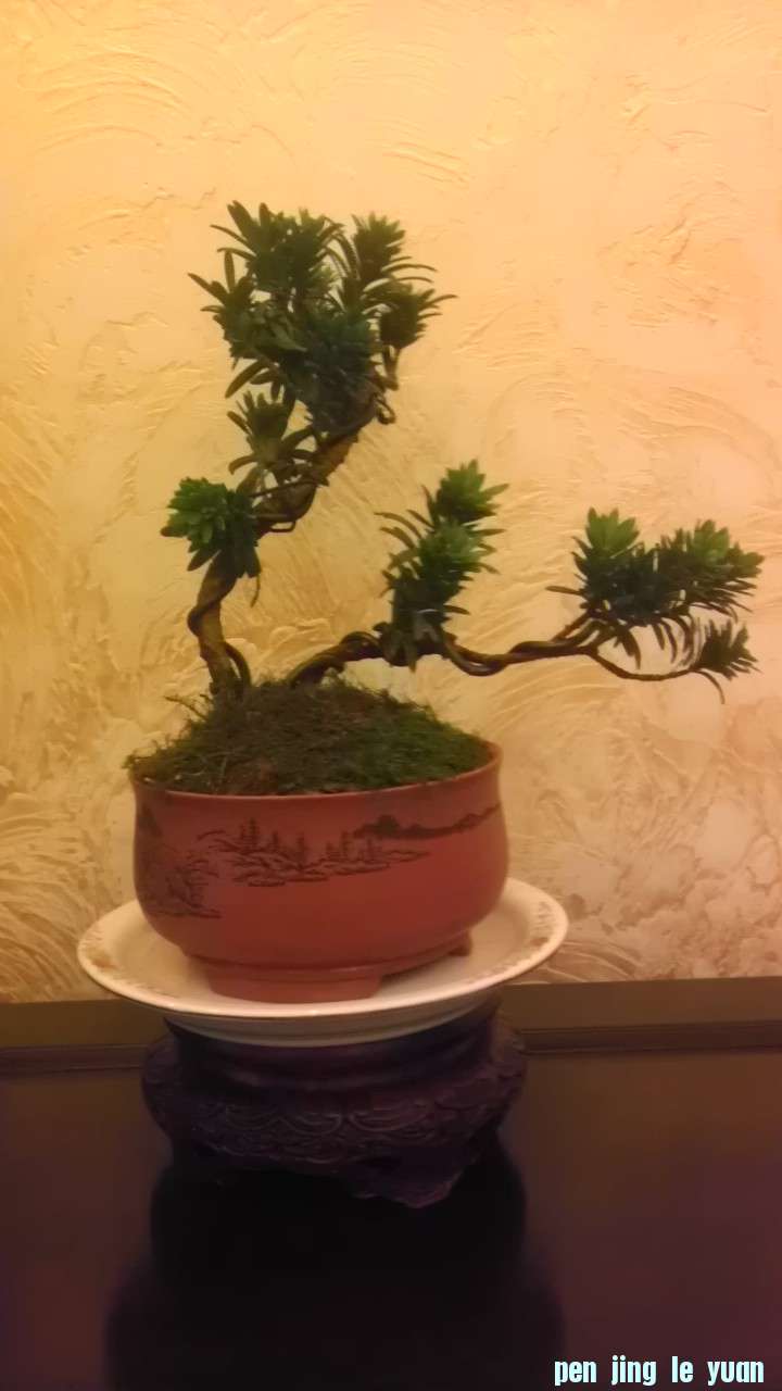 IMAG0612.jpg