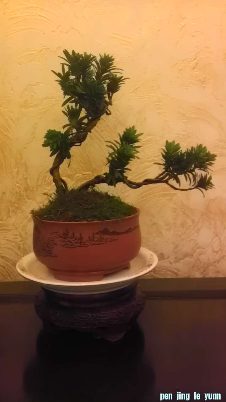 IMAG0613.jpg