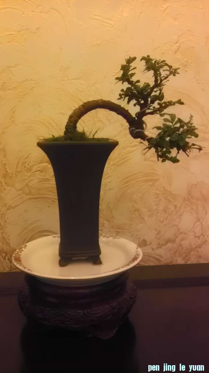 IMAG0609.jpg