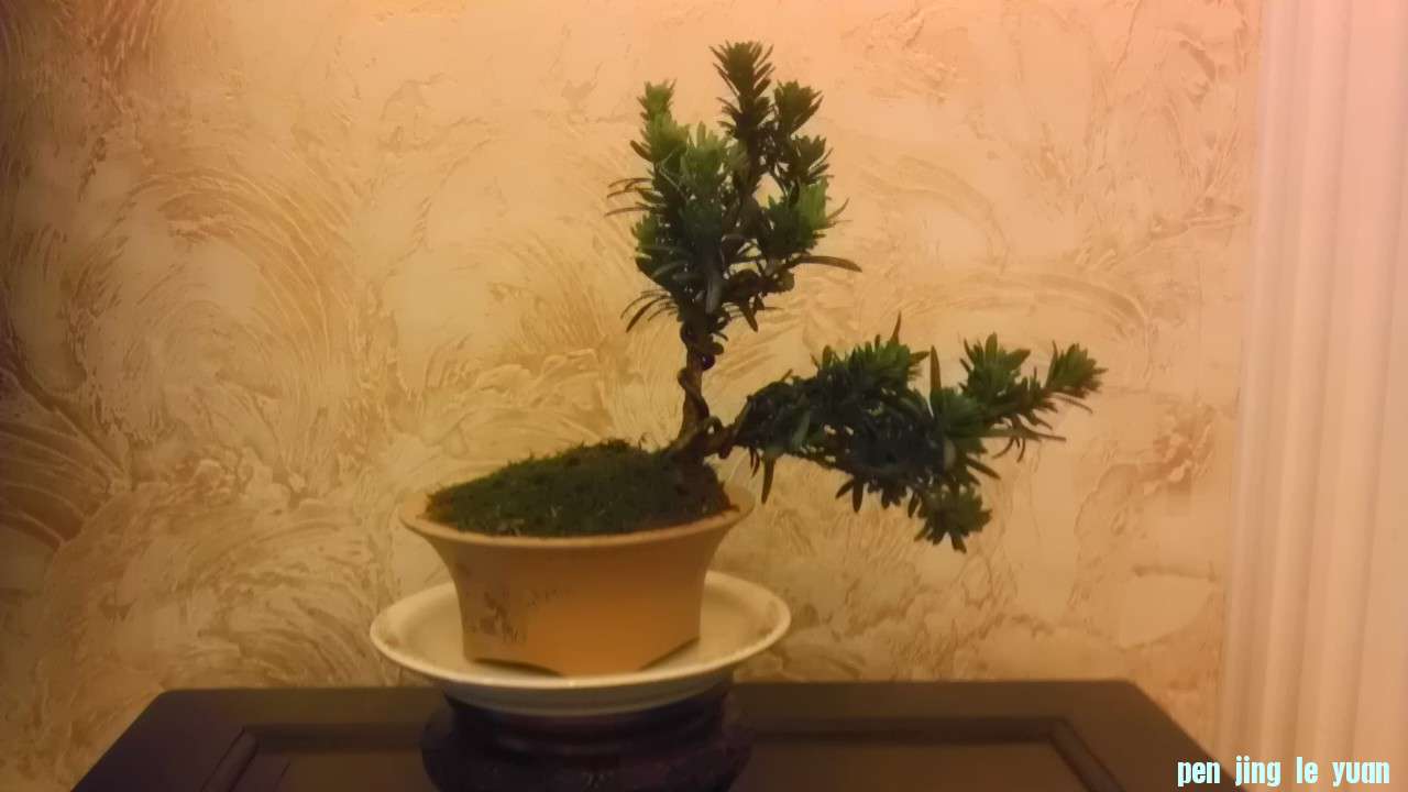 IMAG0614.jpg