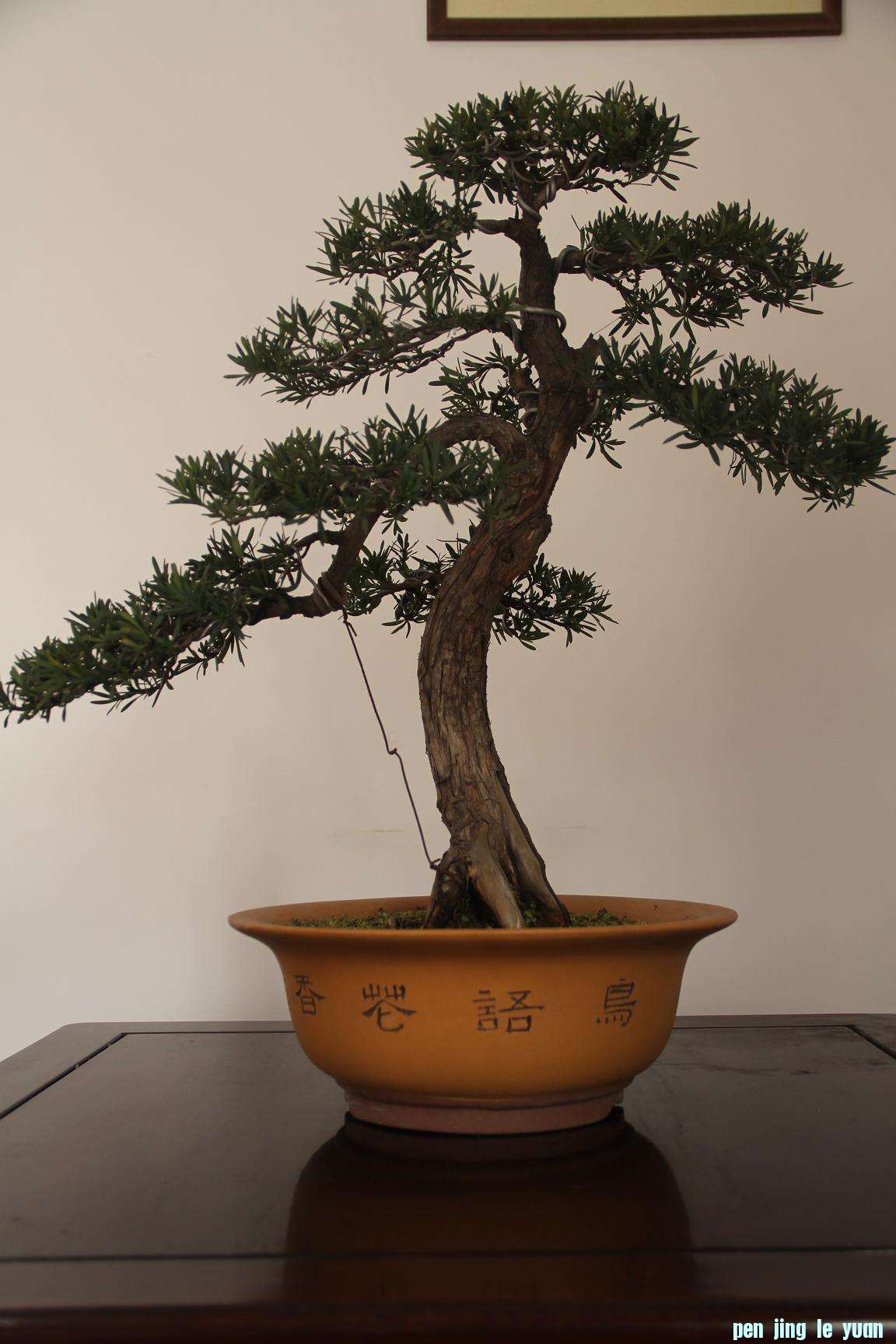 ȸ޺20120203 006.jpg