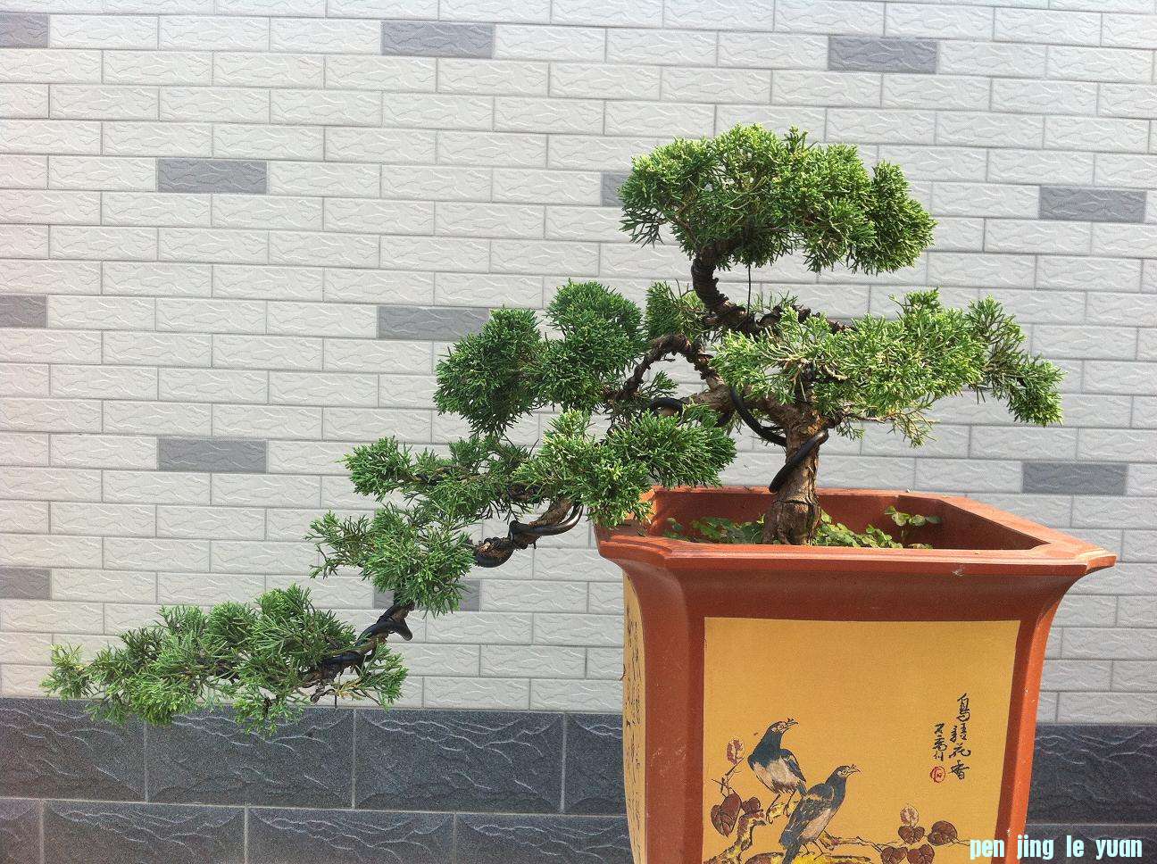20120705һ 001.jpg