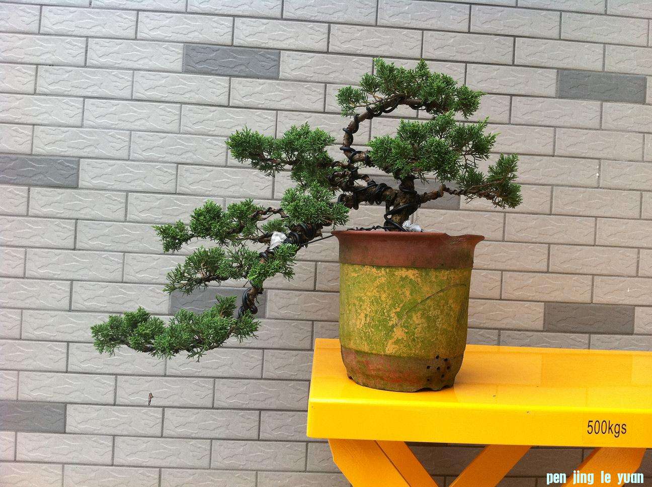 20120709ˮ 003.jpg