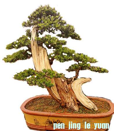 201207201598__.jpg