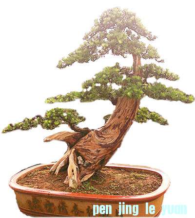 201207201599__.jpg