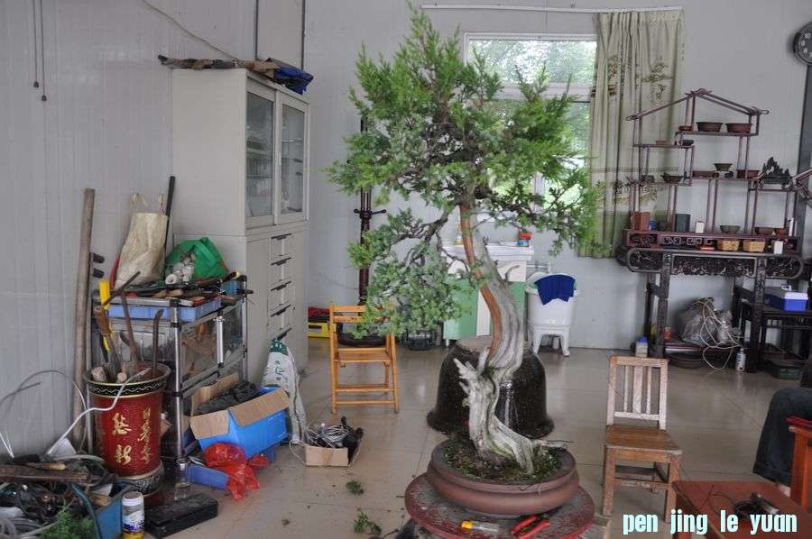 ҵ辰 124.jpg