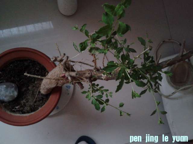 2012-07-22 19.14.09.jpg