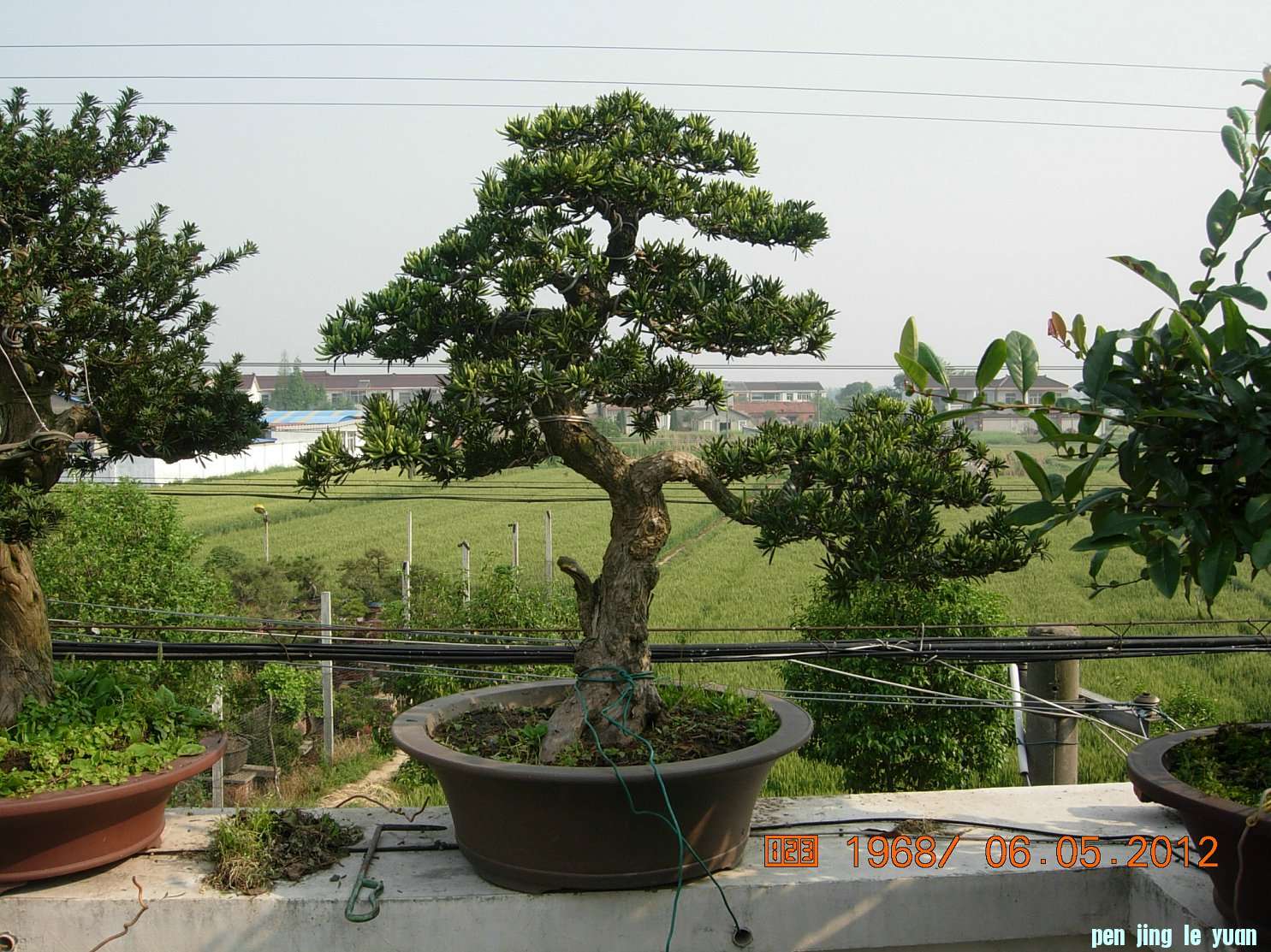 DSCN6120.JPG